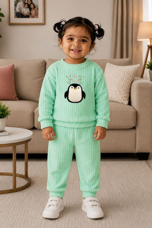 544 - 🐧 infant Minty Penguin Embroidered Cozy Set | 320 - 340 GSM  Imported Soft Fabric