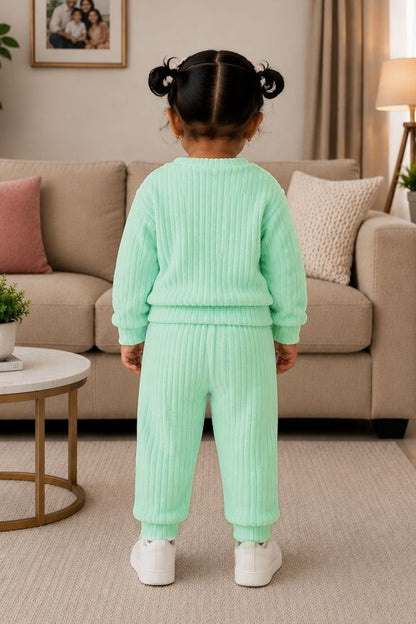 544 - 🐧 infant Minty Penguin Embroidered Cozy Set | 320 - 340 GSM  Imported Soft Fabric